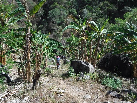 The bottom of the valley