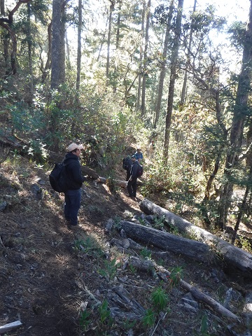 The start of the trail